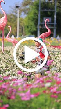 BIB:  <button type="button" onclick="openModal(27588572)" class="btn btn-primary btn-sm float-right" data-toggle="modal" data-target=".modal-high-quality">
                <i class="fa fa-download"></i> Download
                </button>